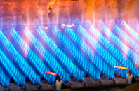 Burgh Heath gas fired boilers